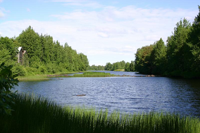 lehmila_juhannus_2005 028.jpg